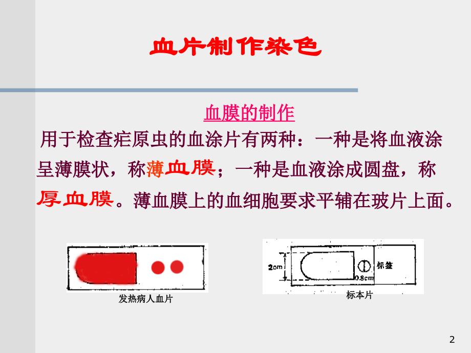 血涂片制作参考_第2页