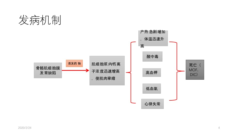 恶性高热 2017PPT参考幻灯片_第4页