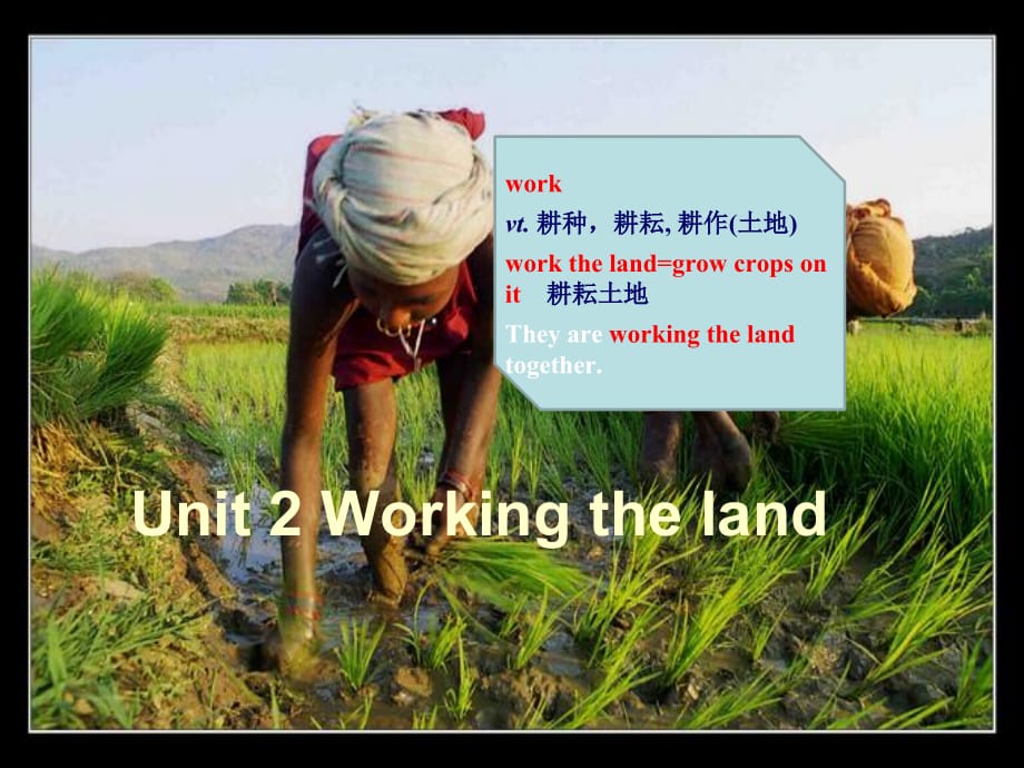 人教版高一英语必修四-Unit-2-Working-the-land-_第1页