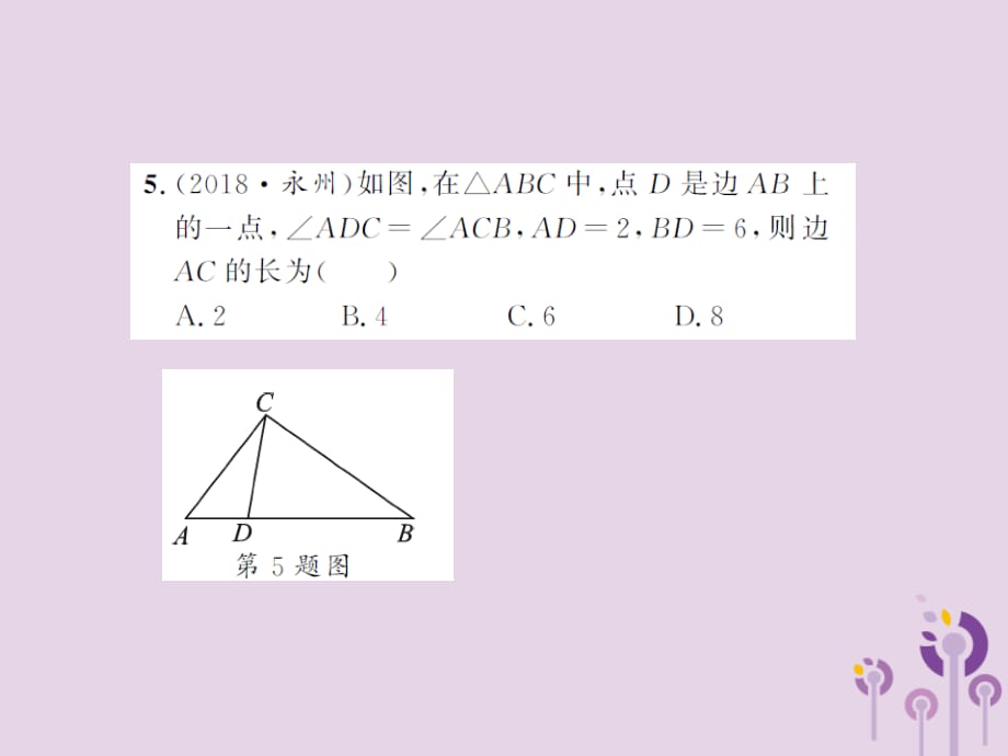 中考数学总复习第四章图形的初步认识与三角形第五节相似三角形.ppt_第5页