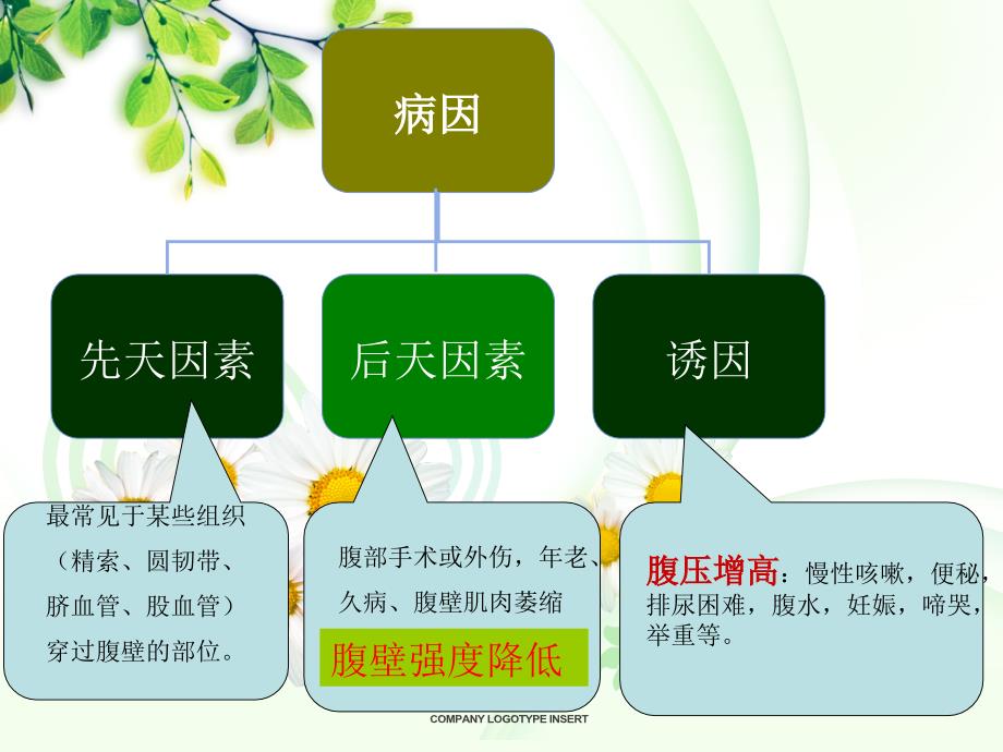 腹股沟疝患者的护理医学课件_第3页