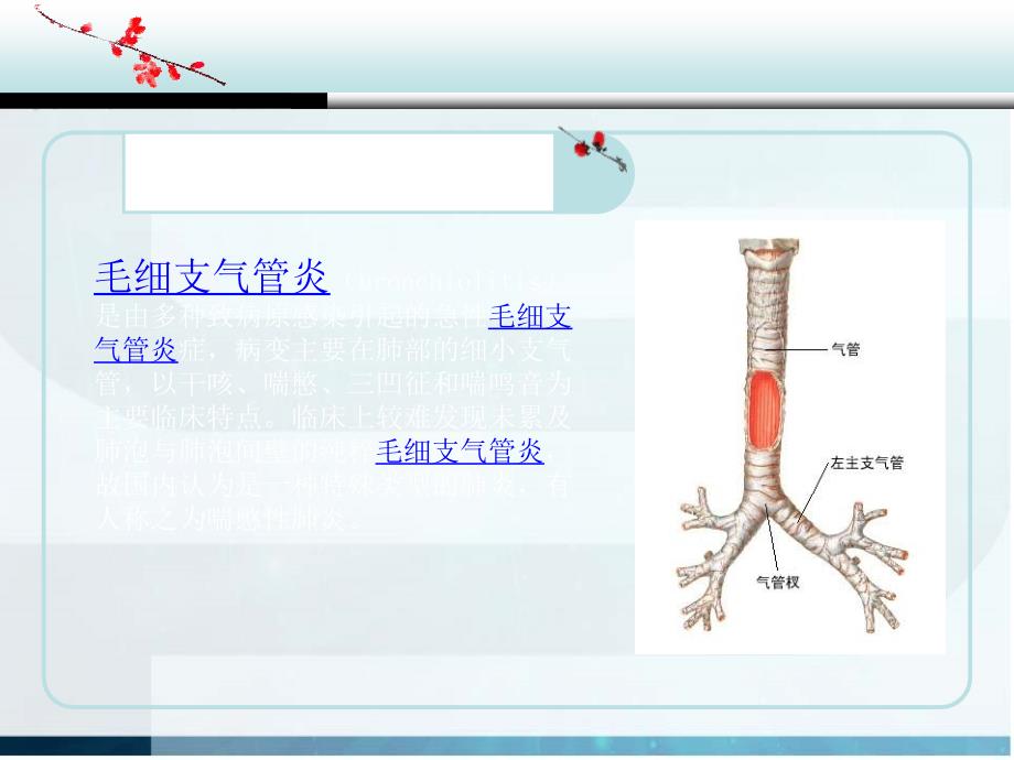 毛细支气管炎的护理查房医学课件_第2页