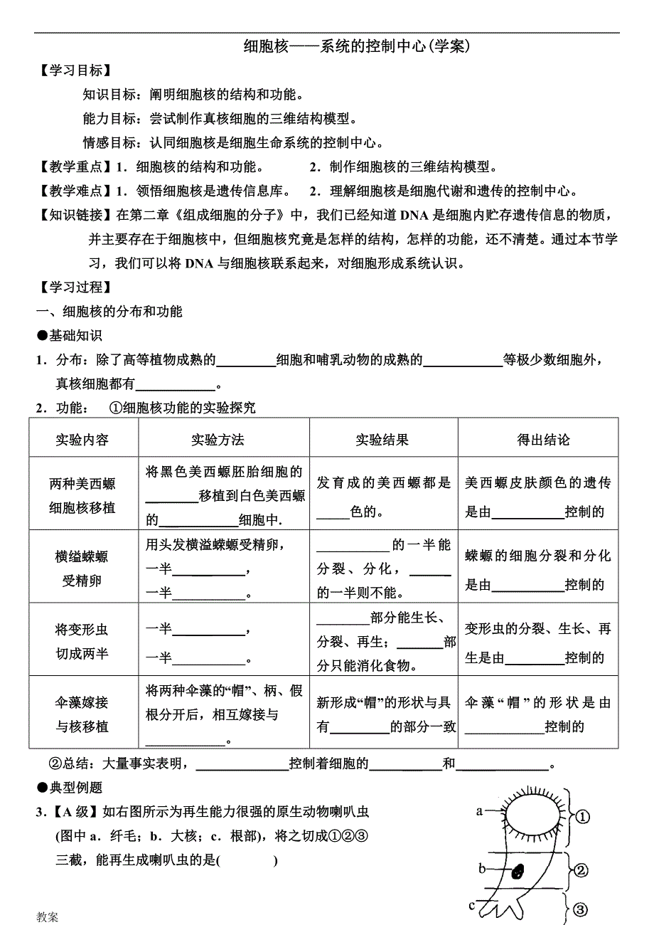 细胞核的学案教案及答案.doc_第1页