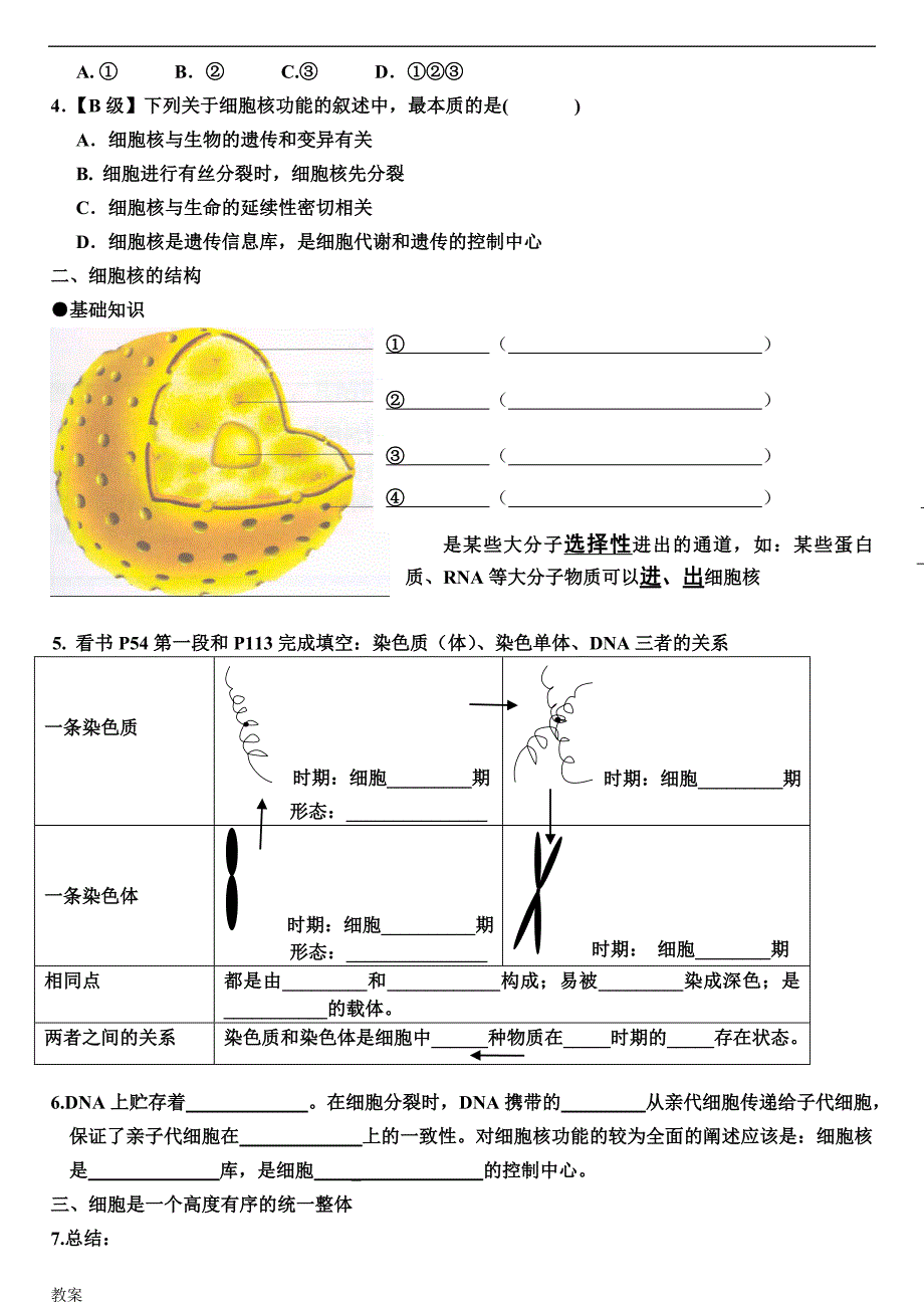 细胞核的学案教案及答案.doc_第2页