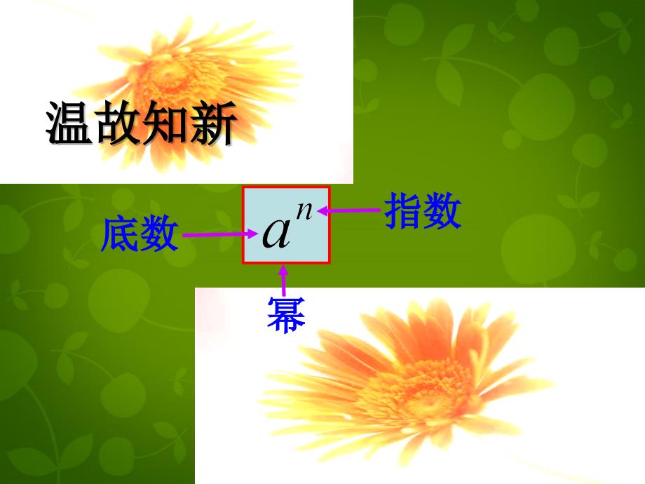 山东滕州大坞大坞中学七级数学上册2.10科学记数法新北师大.ppt_第3页