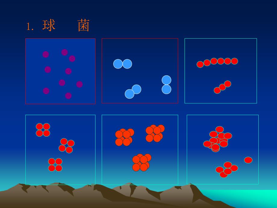 革兰氏阳性菌医学课件_第4页