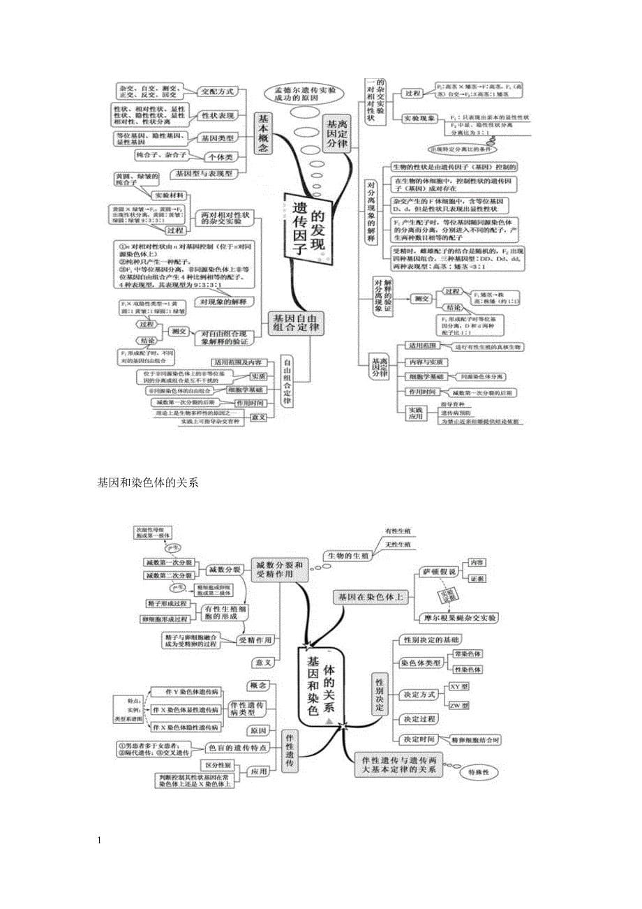 高中生物思维导图研究报告_第5页