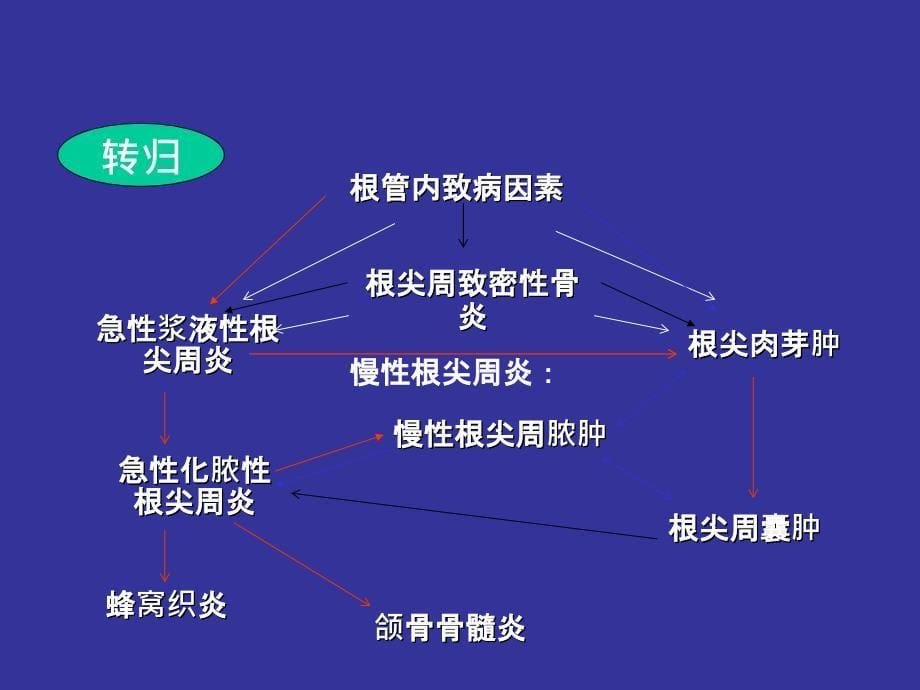 根尖周病的分类临表诊断医学课件_第5页