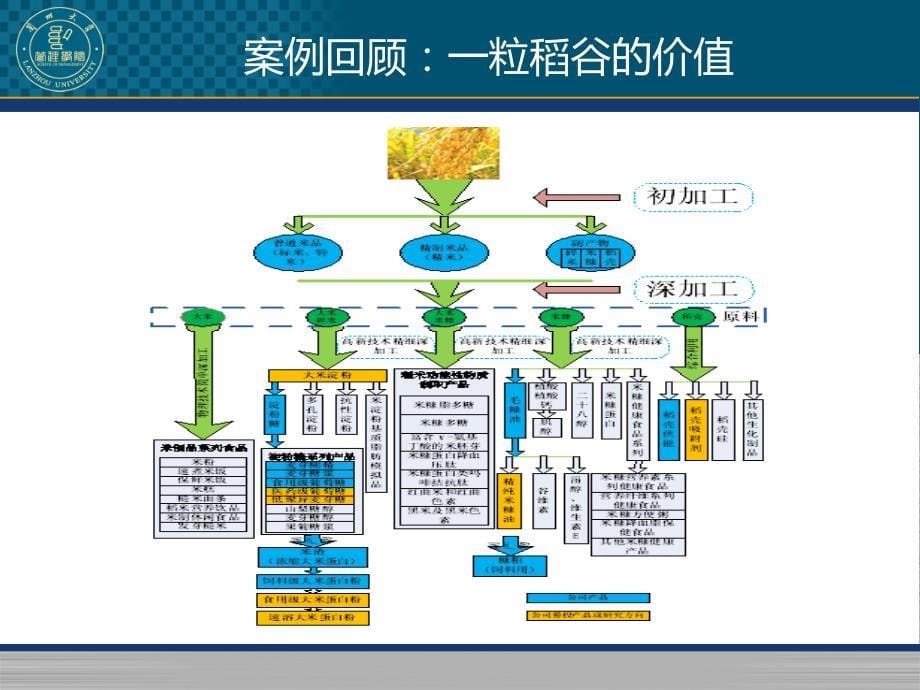 万福生科财务造假案例分析报告_第5页