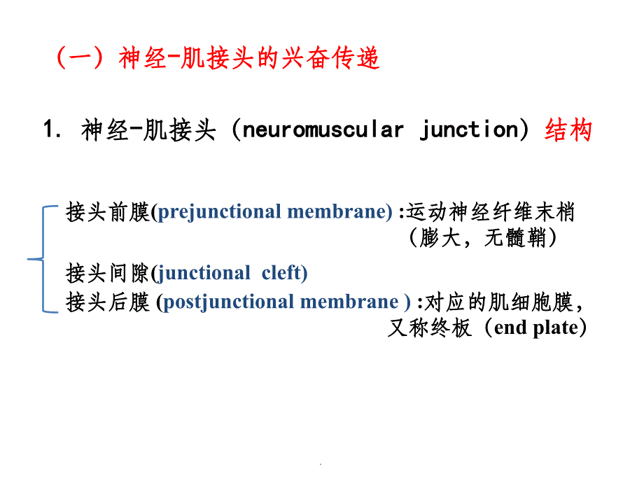 第三章 第四节 肌肉的收缩功能ppt课件_第4页