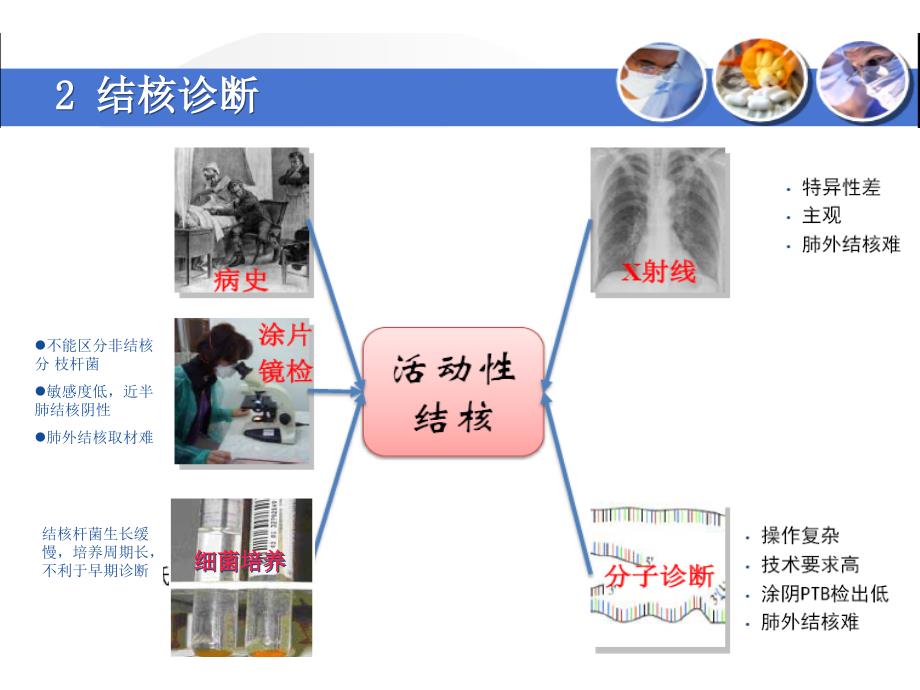 结核感染细胞检测医学课件_第3页