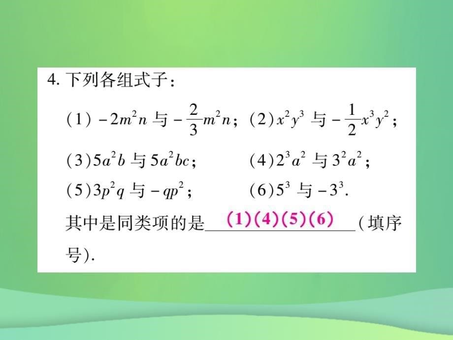 秋七级数学上册第三章整式及其加减3.4整式的加减第1课时练习新北师大.ppt_第5页