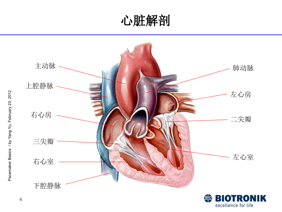 起搏器基础知识医学课件_第4页