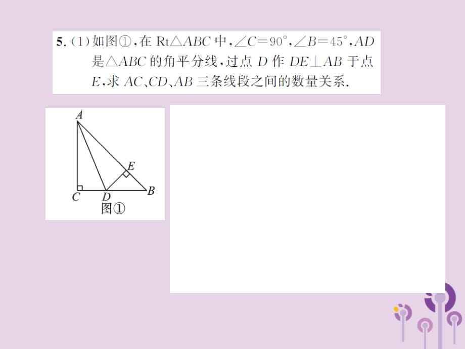 中考数学总复习第四章图形的初步认识与三角形方法技巧一几何中与角平分线有关的计算与证明0124196.ppt_第5页