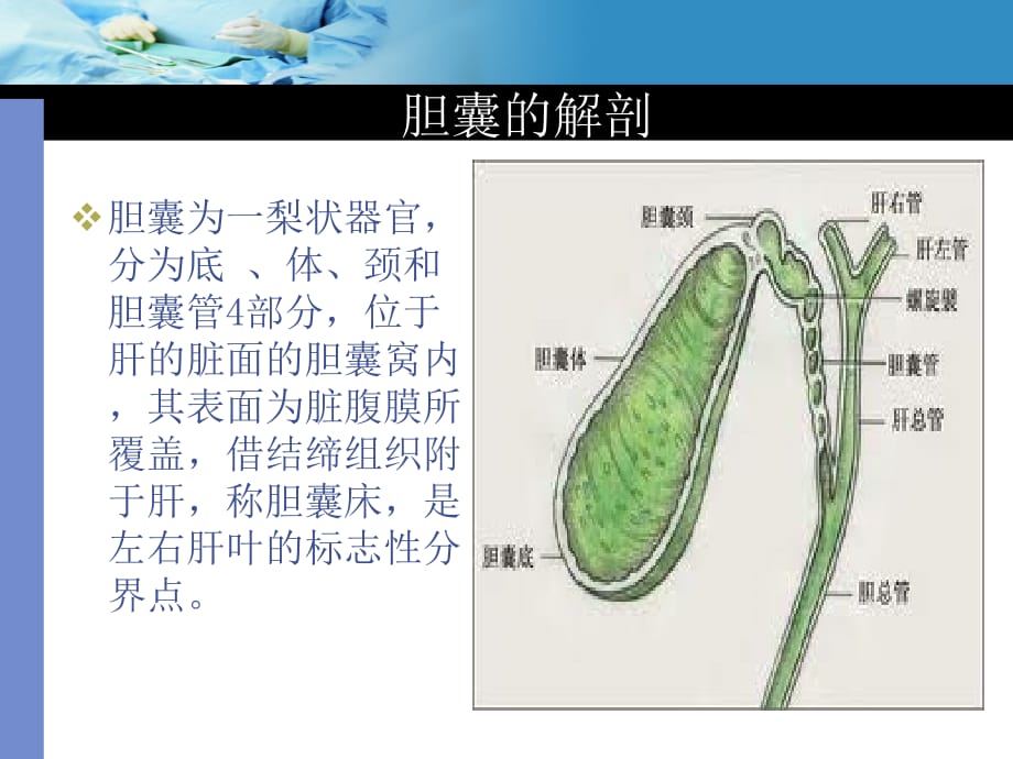 腹腔镜胆囊切除手术配合医学课件_第5页