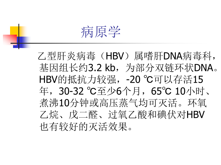 慢性乙型肝炎防治医学课件_第3页