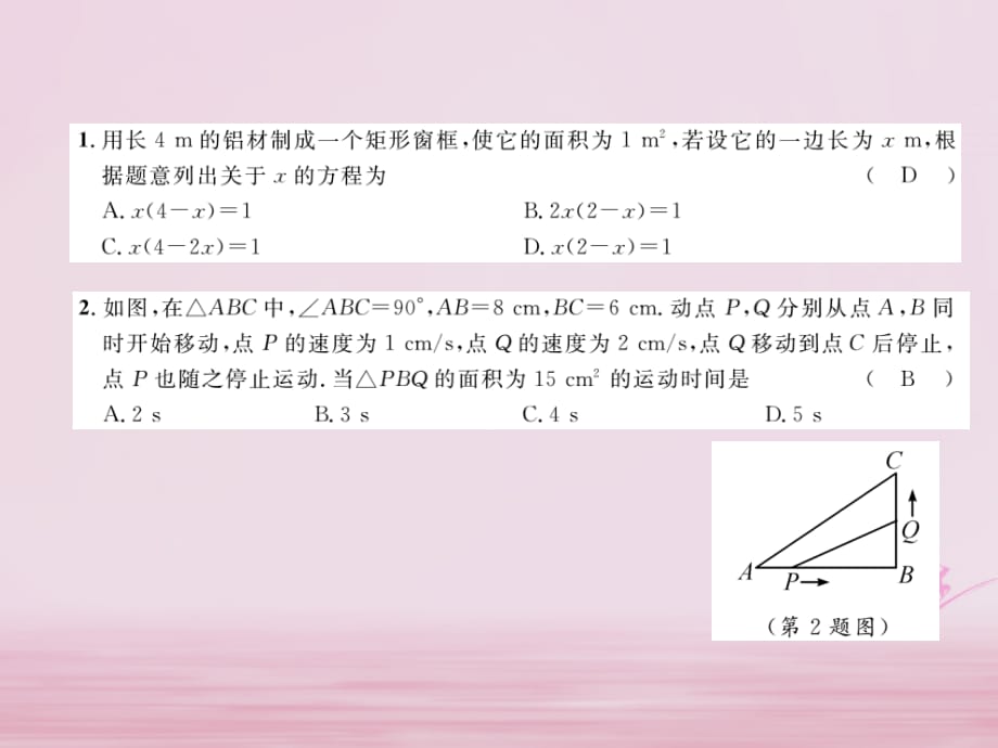 秋九级数学上册2.5一元二次方程的应用第2课时图形面积问题练习新湘教.ppt_第2页