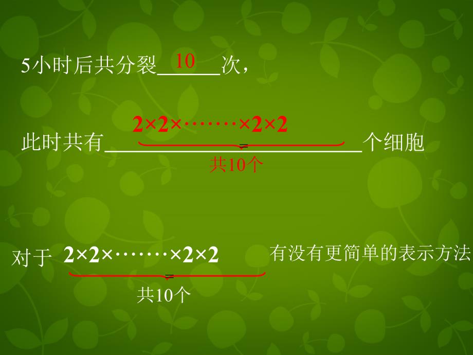 山东滕州大坞大坞中学七级数学上册2.9有理数的乘方1新北师大.ppt_第3页