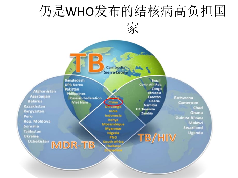 结核病相关知识医学课件_第4页