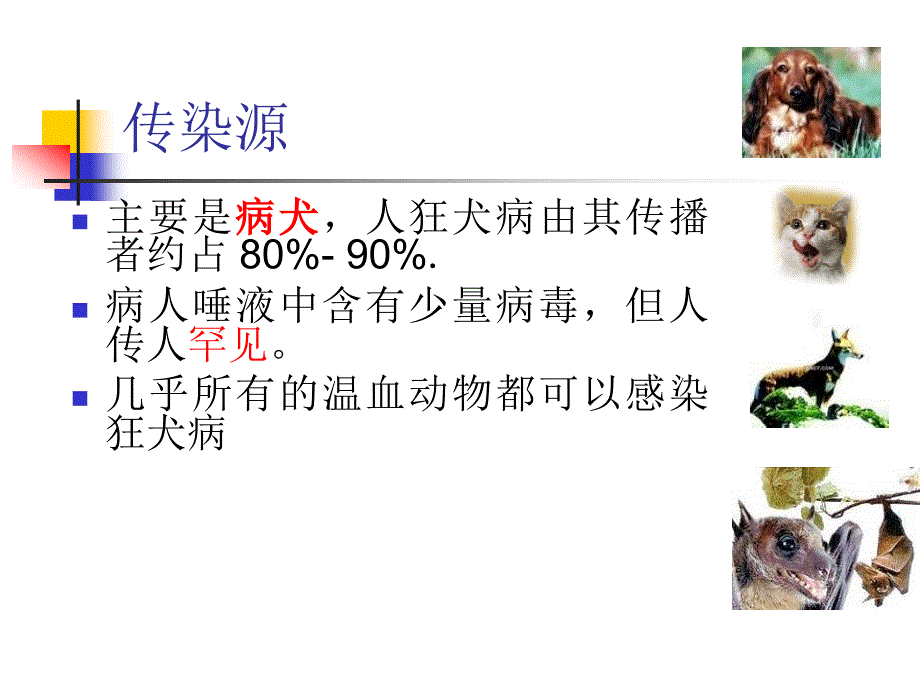 狂犬病布病鼠疫报告和管理医学课件_第3页