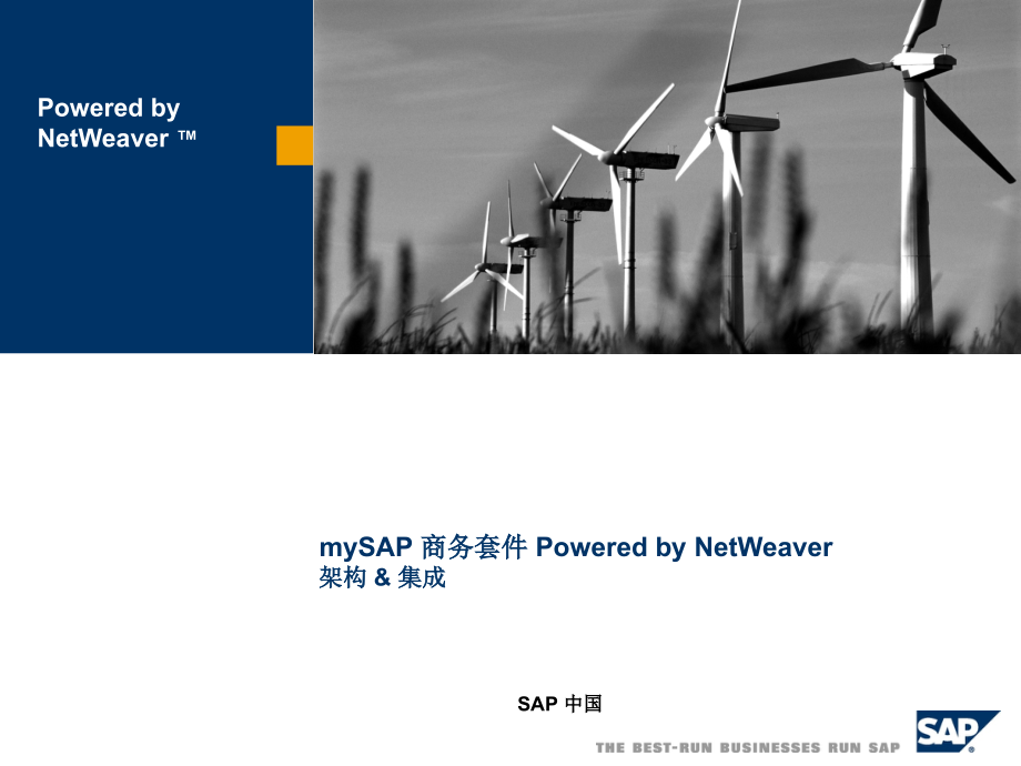 SAP技术架构和ERP实现方法简介_第1页