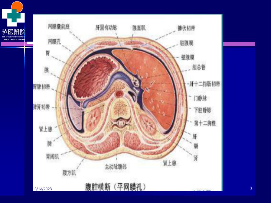 腹膜(后)腔与腹壁病变CT诊断医学课件_第3页