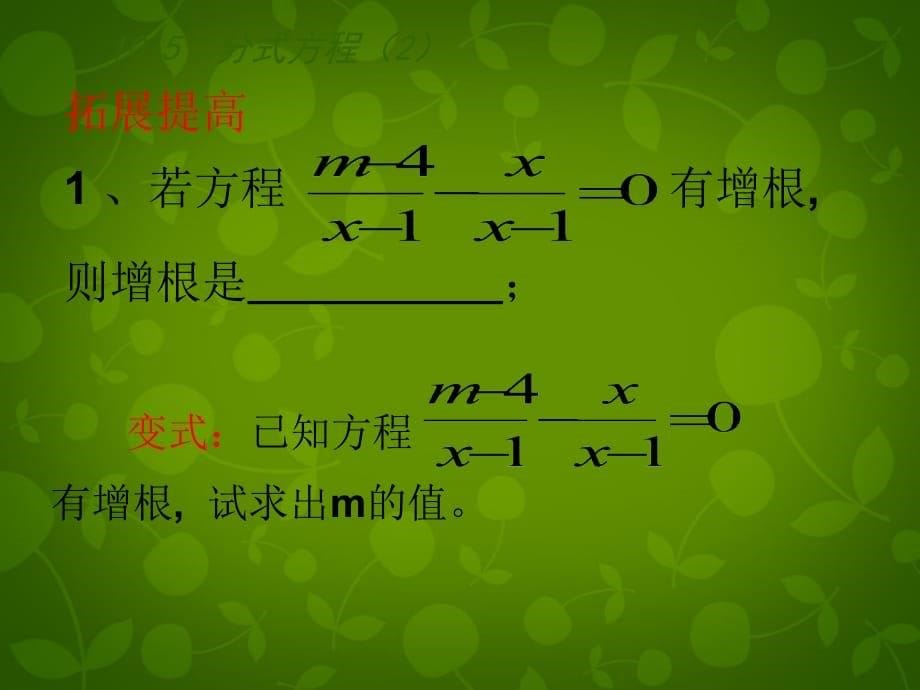 江苏兴化昭阳湖初级中学八级数学下册10.5分式方程2新苏科.ppt_第5页