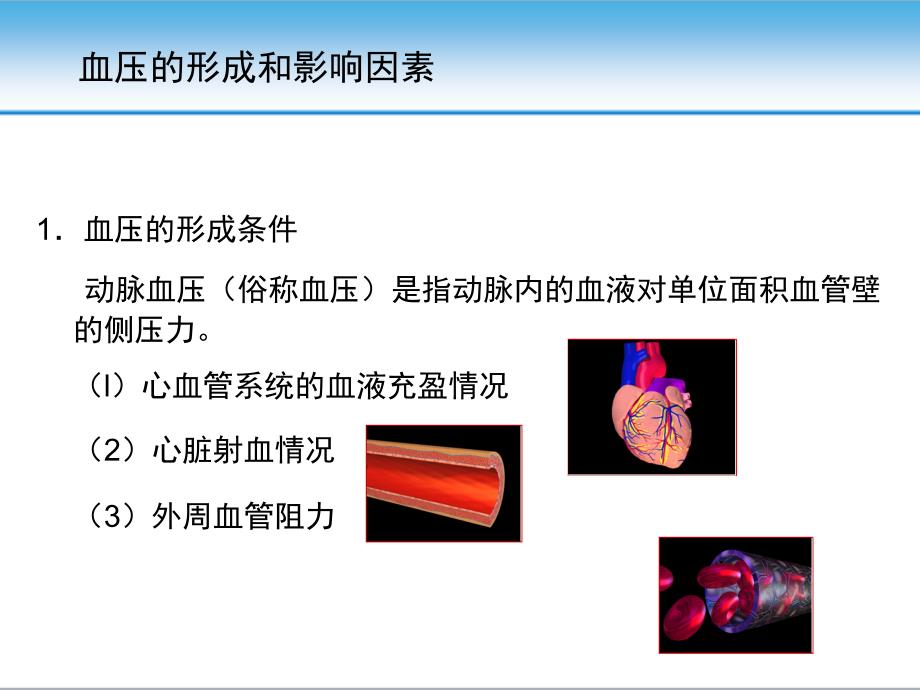 高血压的发病机制医学课件_第3页