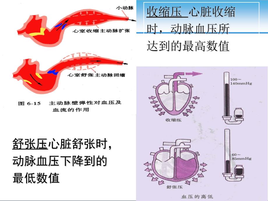 高血压的发病机制医学课件_第4页