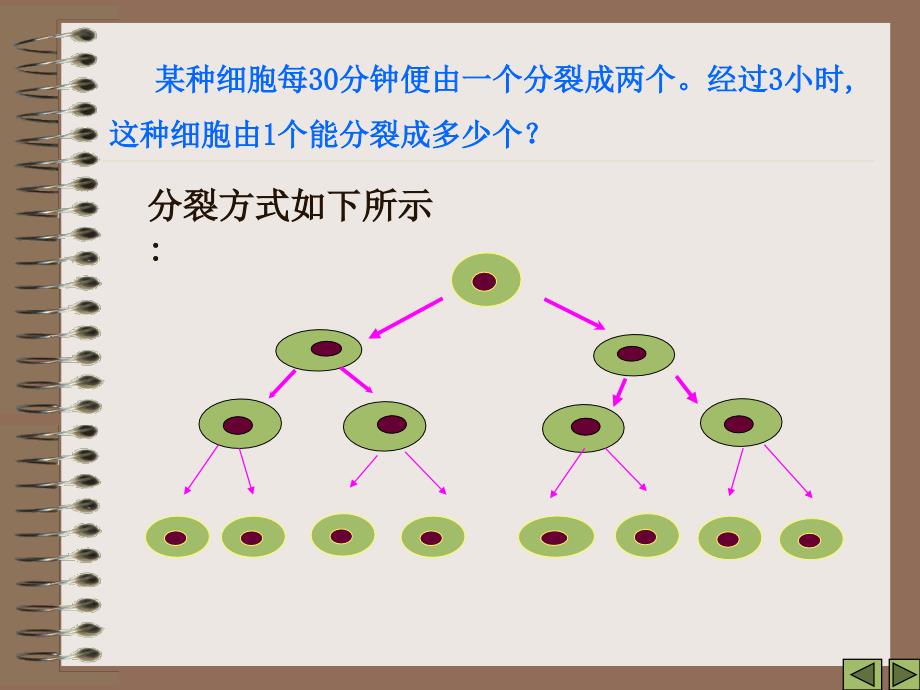 七级数学有理数的乘方3 华师.ppt_第4页