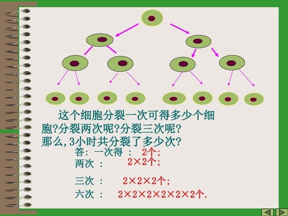 七级数学有理数的乘方3 华师.ppt_第5页