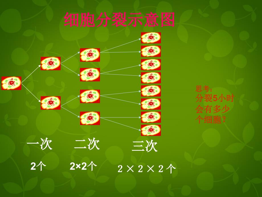 山东平同和街道办事处朝阳中学七级数学上册2.9有理数的乘方1新北师大.ppt_第3页