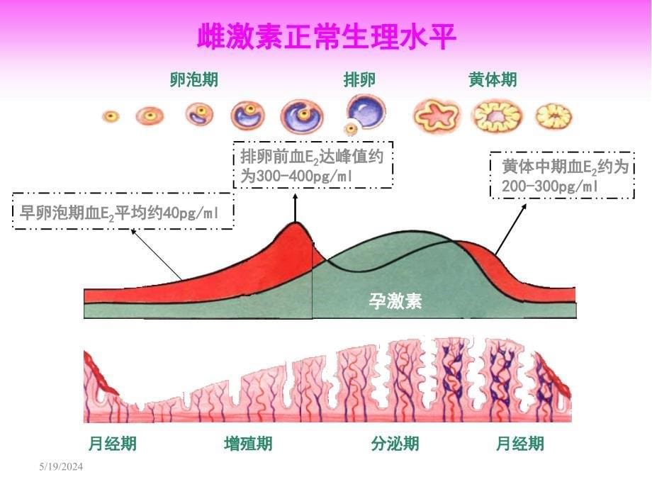 解读更期妇女症状及应对方案医学课件_第5页