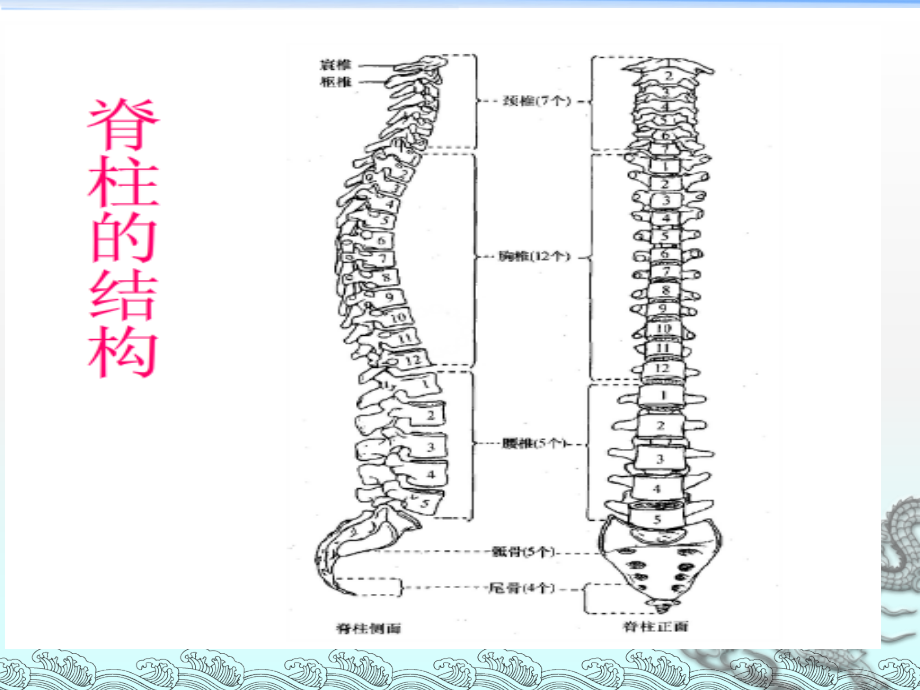 八 脊髓炎康复ppt医学课件_第4页