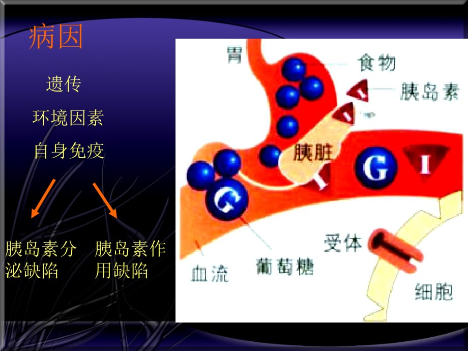 糖尿病精医学课件_第5页