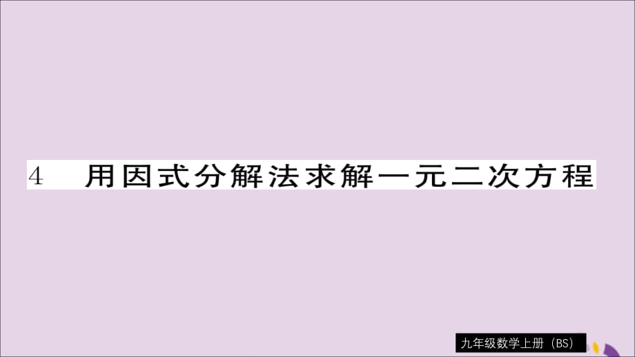 通用秋九级数学上册第二章一元二次方程2.4用因式分解法求解一元二次方程习题新北师大.ppt_第1页