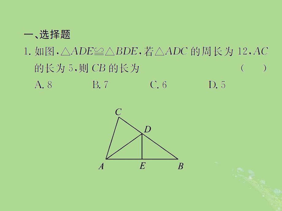 遵义专用中考数学复习第18课时三角形的全等课后作业.ppt_第2页