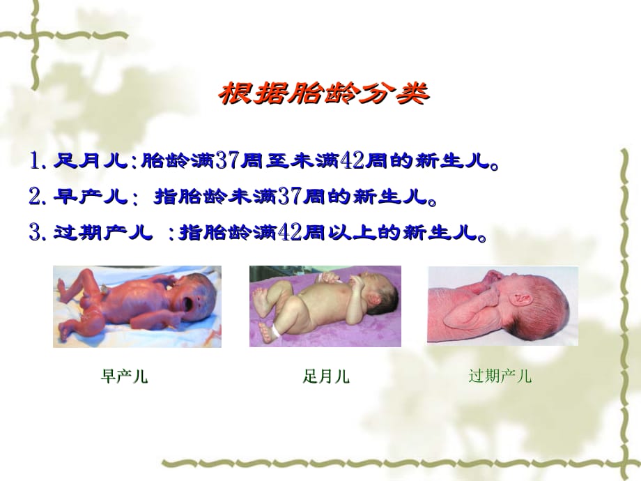新生儿专业护理医学课件_第2页