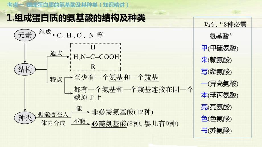 最新 高中生物一轮总复习第3讲：生命活动的主要承担者——蛋白质_第2页