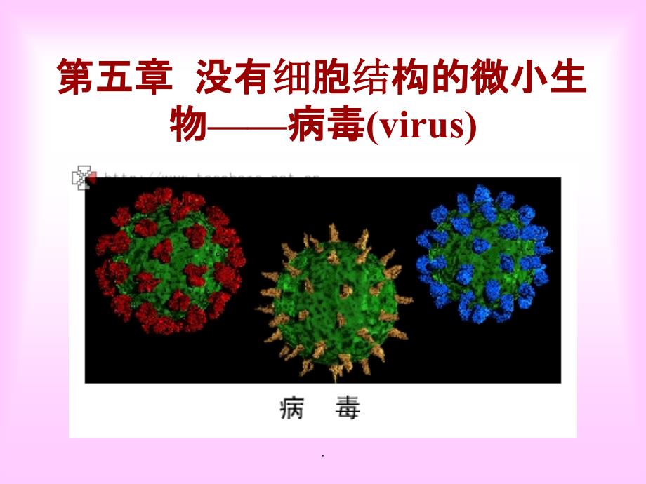 第五章_病毒.ppt课件_第2页