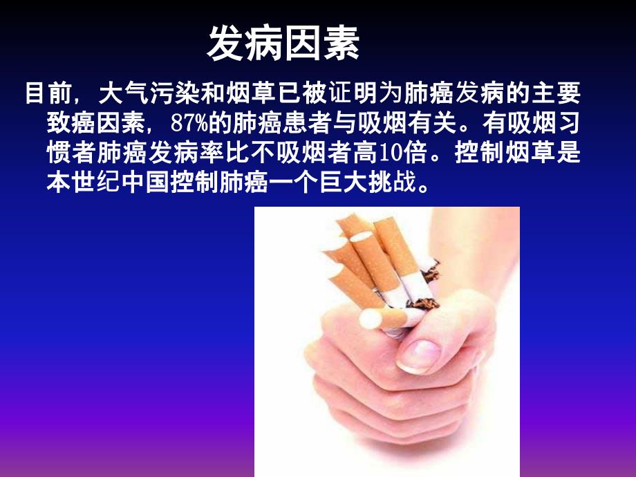 肺癌治疗方法ppt医学课件_第3页