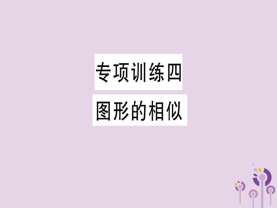 通用春九级数学下册专项训练四图形的相似习题讲评新北师大03231119.ppt_第1页