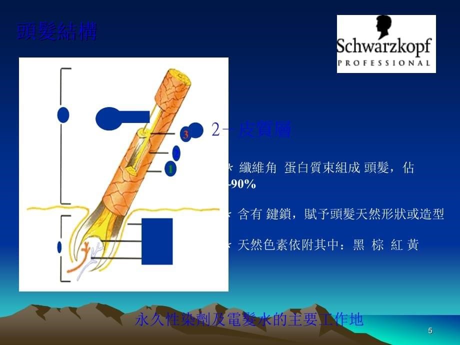 初级染发培训教材课程_第5页