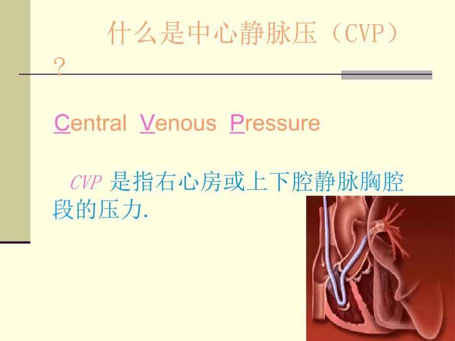 中心静脉压测定ppt医学课件_第2页