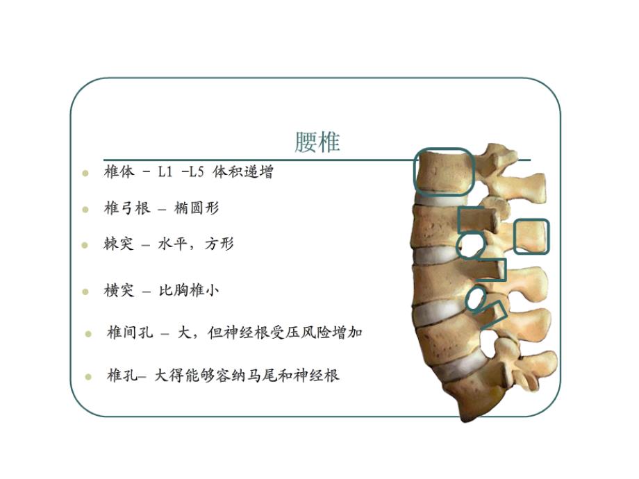 腰椎骨折医学影像医学课件_第4页