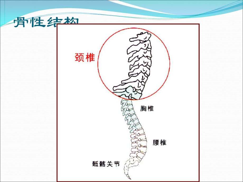 颈椎病健康教育ppt医学课件_第3页