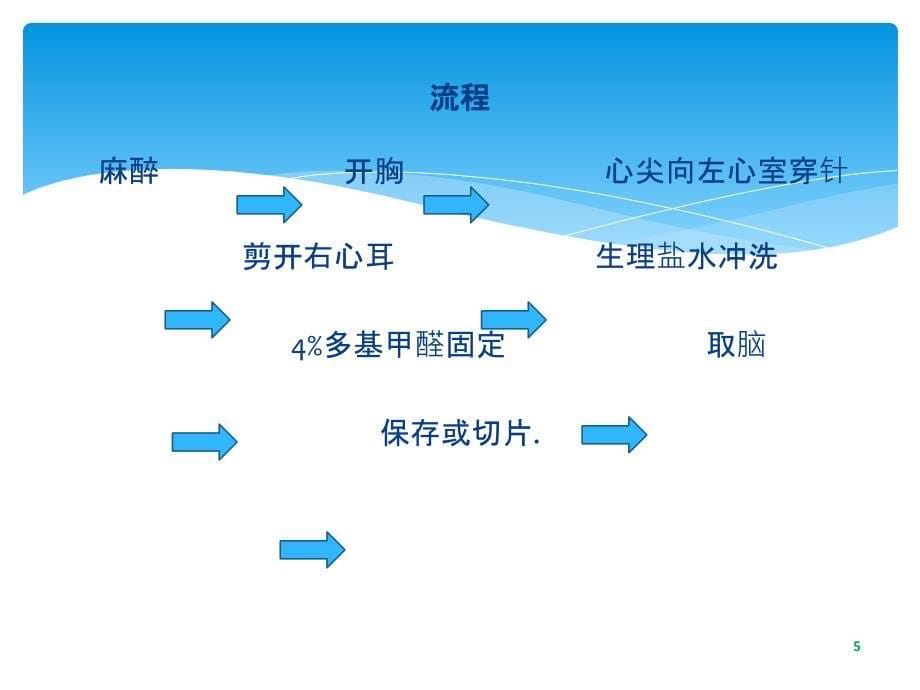 大鼠灌注固定取脑解剖取材ppt医学课件_第5页