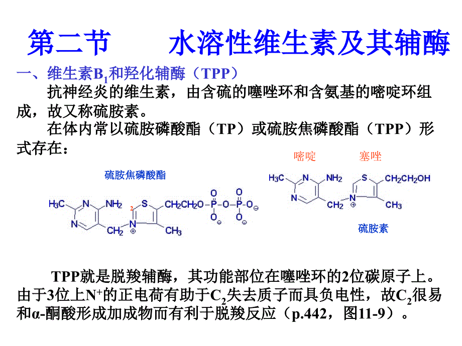 维生素与辅酶医学课件_第1页