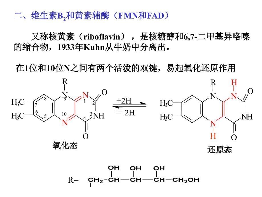 维生素与辅酶医学课件_第5页