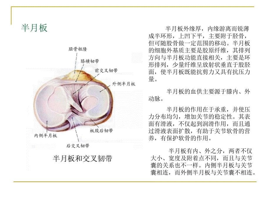 膝关节骨性关节炎的中医综合治疗医学课件_第5页